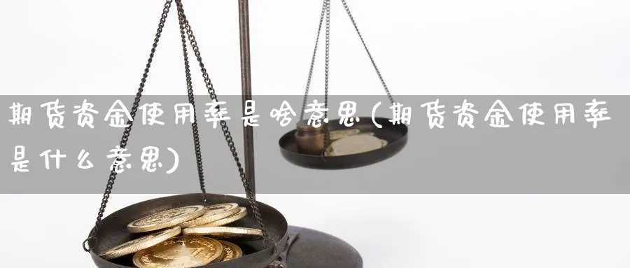 期货资金使用率是啥意思(期货资金使用率是什么意思)_https://www.tuinazhengji.com_期货分析_第1张