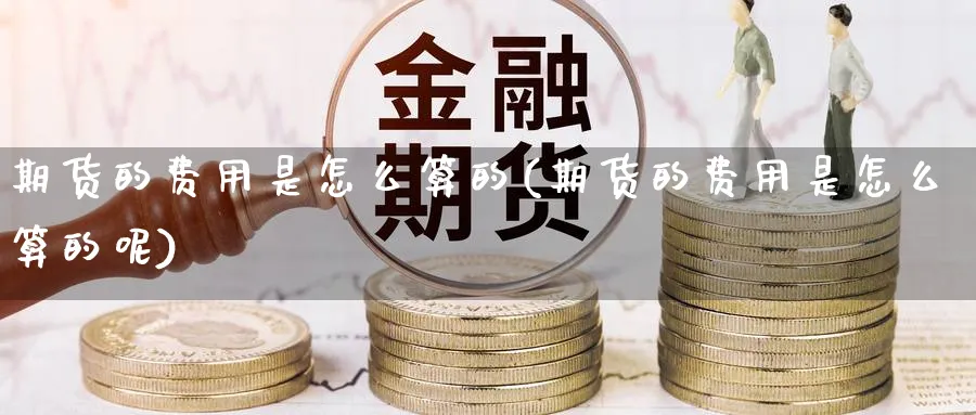 期货的费用是怎么算的(期货的费用是怎么算的呢)_https://www.tuinazhengji.com_期货分析_第1张